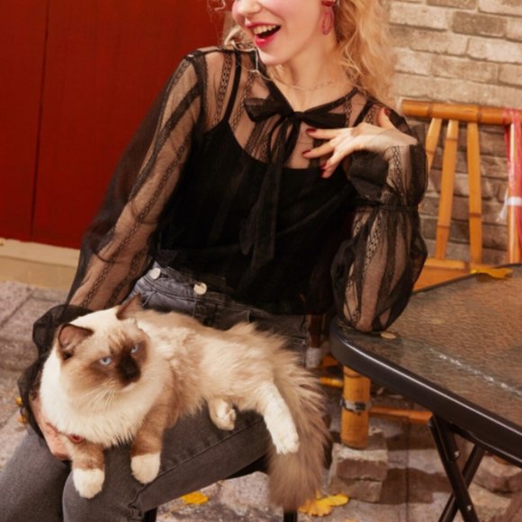 Black Tie Neck See-Through Blouse - Picture 3 of 5